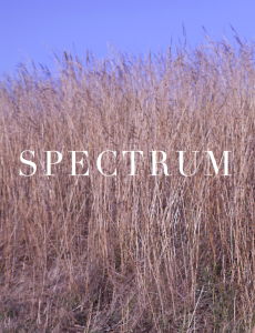 Spectrum.